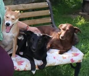 Sophie, Milo und Coco